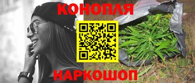 индика Гусиноозёрск