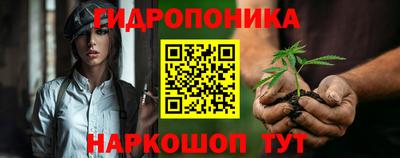 индика Гусиноозёрск