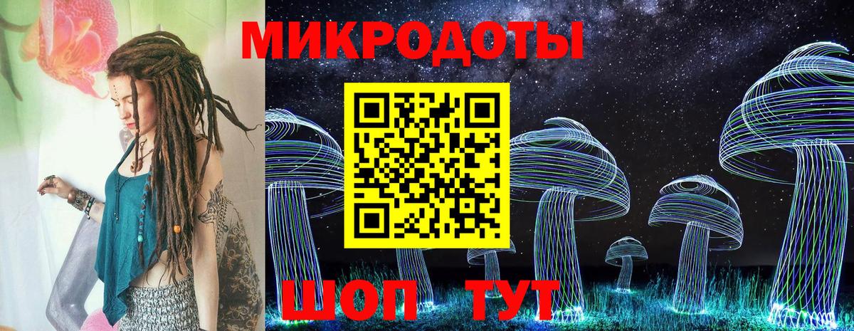 Галлюциногенные грибы Magic Shrooms  Вход с VPN  Мурино  Псилоцибиновые грибы прущие грибы 