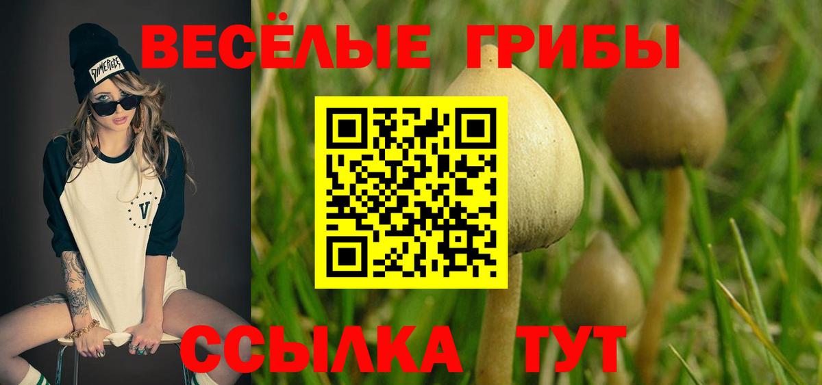 Псилоцибиновые грибы Cubensis Мурино